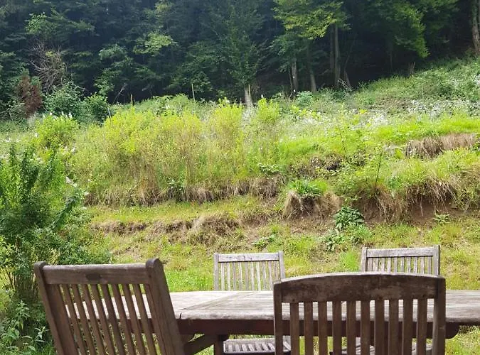 Cosy Calme A L'oree Du Bois Apartmán